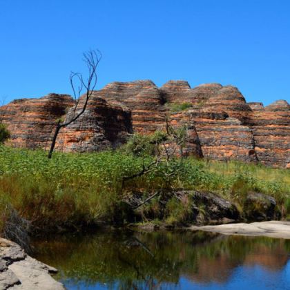 Bungle Bungles by Graham Bolton