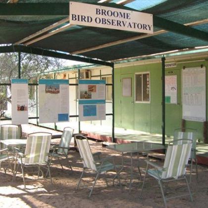 Broomebirdaccom std 9a40e3e2 6c2b 40d0 8623 02dc41a13a27