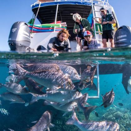 10coralbayecotours std ca6acfbd a192 4797 9c90 07cf5da395db