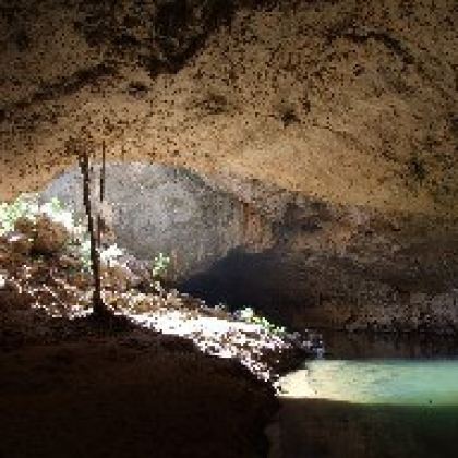 Discovere