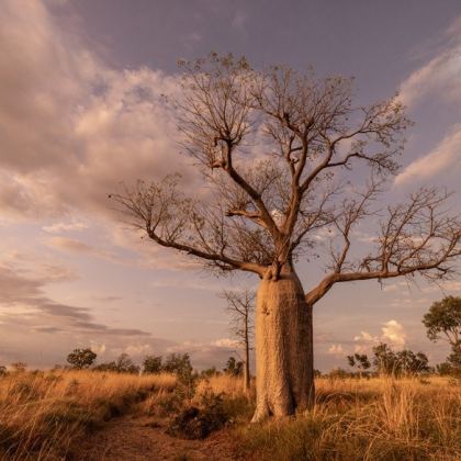 Hughbrownphotography std 799fdd5c bea5 42ec b030 4e98f37a0bde