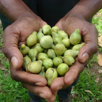 10jarndutoursbroome std 49141cd7 b8a9 415c b1ed 2eaa0f9bd1fc