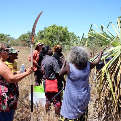 10jarndutoursbroome std e6cfa36d 2f3d 457c 9c2d b46899ffa607