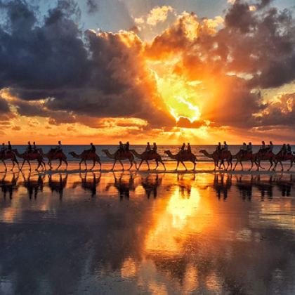 10redsuncamels std a735ad26 5a12 45c9 a91c 1870bdceb541