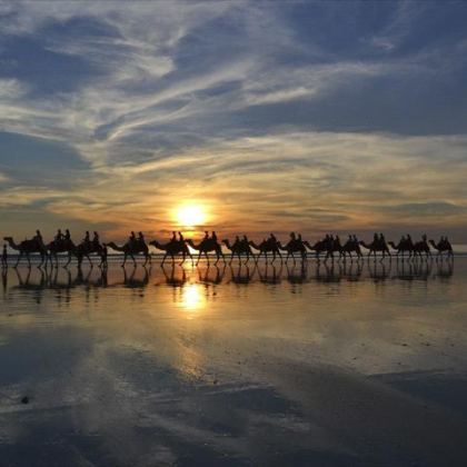 10redsuncamels std ce12b93a 5d95 4c5b 86f9 472d696ee06f