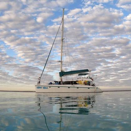 425869 std 772ef260 0ece 4449 a89c b5746d4ebb0f