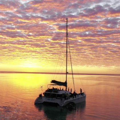 425869 std c214420c be02 4a7d a112 727a24272d28