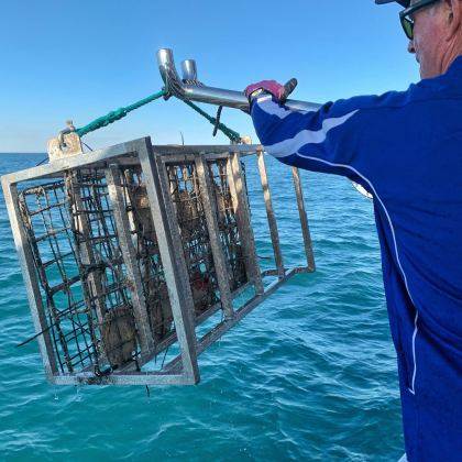 Broome Cruises live pearl harvest 04