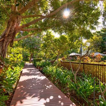 Thebilli std a897c720 4340 4688 9dc8 cd888c5c3e91