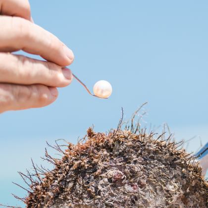 93810 std 55d5525d 8cb4 48b8 86e6 a9bbabeeb61f